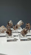 Smoky Fenster Quartz