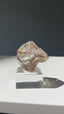 Smoky Fenster Quartz, Greely, Ontario, Canada