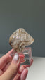 Smoky Fenster Quartz, Greely, Ontario, Canada