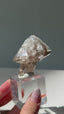 Smoky Fenster Quartz, Greely, Ontario, Canada